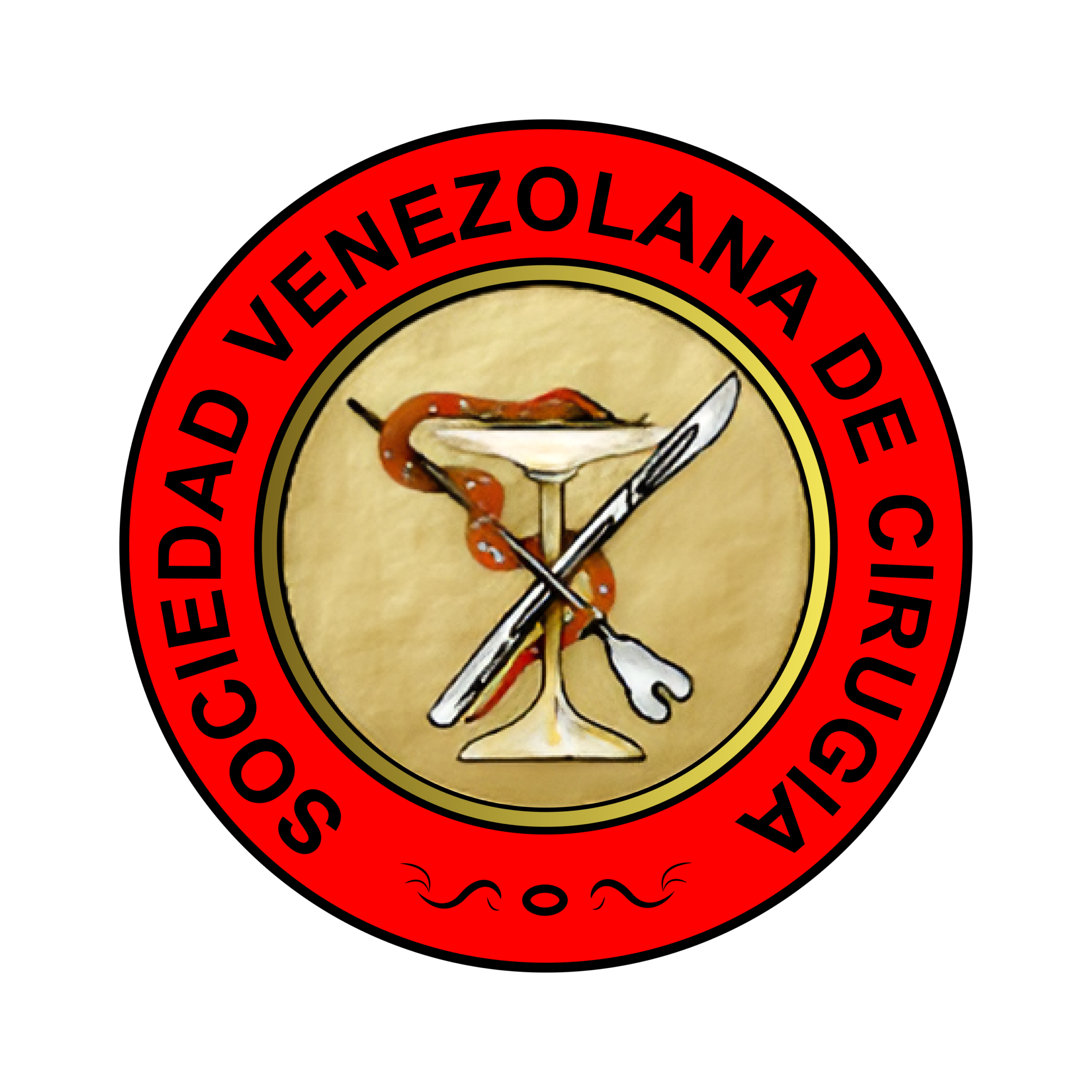 European Society of Cardiology