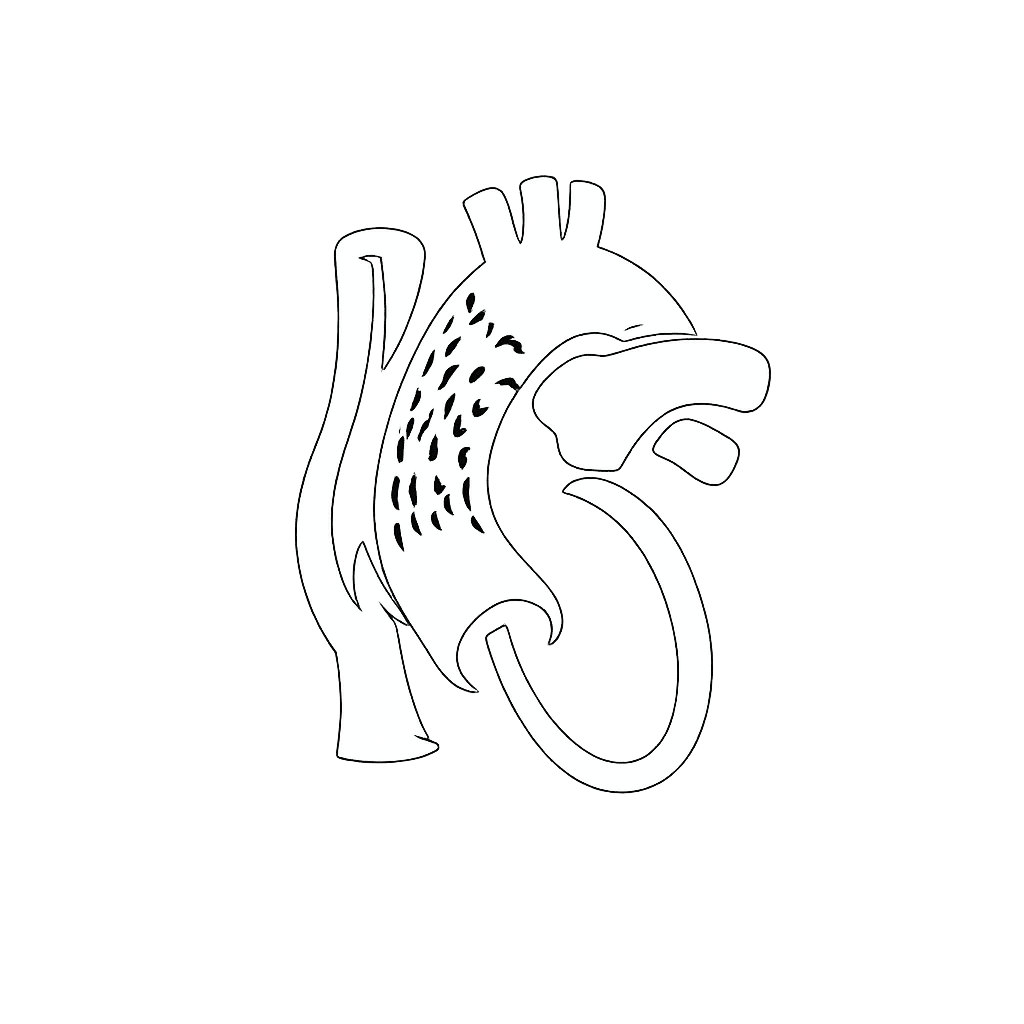 Icono Aorta Compleja